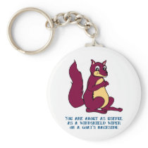 You are about as useful as a windshield wiper ... key chains