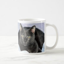 You Are Annoying Me Mugs