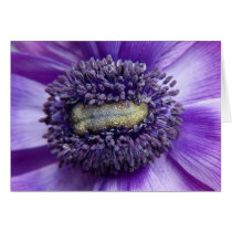 you are as welcome as the flowers in may cards