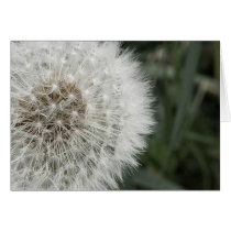 you are as welcome as the flowers in may cards
