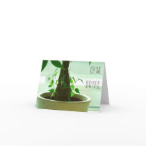 You are beautiful cards