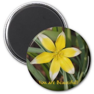 You are Beautiful-Flower Magnet magnet