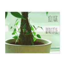 You are beautiful post cards