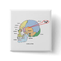 You Are Here (Brain Temporal Region Anatomical) Pinback Buttons