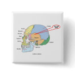 You Are Here (Brain Temporal Region Anatomical) Pinback Buttons