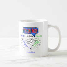 "You Are Here" Evolutionary Tree Coffee Mug