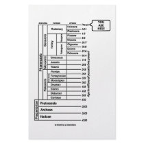 You Are Here (Geological Age Earth's History) Customized Stationery