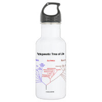 You Are Here Phylogenetic Tree Of Life (Biology) 18oz Water Bottle