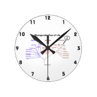 You Are Here Phylogenetic Tree Of Life (Biology) Round Clocks