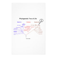 You Are Here Phylogenetic Tree Of Life (Biology) Stationery