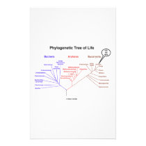 You Are Here Phylogenetic Tree Of Life (Biology) stationery