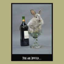 You are Invited.... invitations
