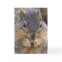 You are invited/ Any Occasion_ Card by zazzlegirboy09 You are invited/ Any Occasion_ Card