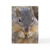 You are invited/ Any Occasion_ Card