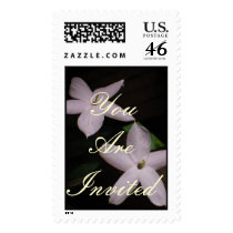 You Are Invited postage