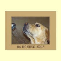 You are kidding. Right?! postcards