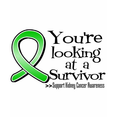 You are Looking at a Kidney Cancer Survivor v2 t shirts