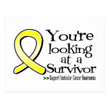 You are Looking at a Testicular Cancer Survivor Post Cards