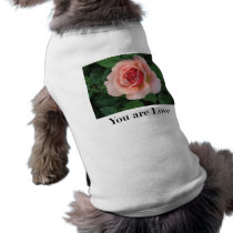 You are Love Doggies pet clothing by shelleygoldberg You are Love Doggies pet clothing