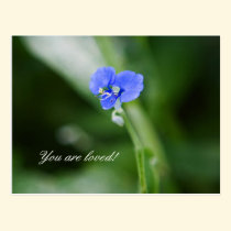 You are loved! postcards