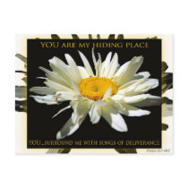 You Are My Hiding Place postcards