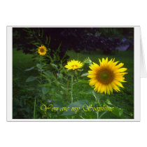 You are my Sunshine cards
