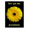 You are my Sunshine! cards by chkoch You are my Sunshine! cards