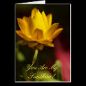 You Are My Sunshine! cards
