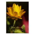 You Are My Sunshine! cards