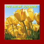 YOU ARE MY SUNSHINE(Mojisola Gbadamosi Okubule) magnets