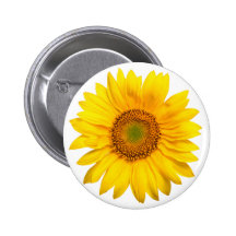 YOU ARE MY SUNSHINE PINBACK BUTTONS