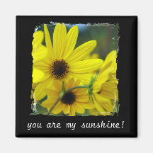 You Are My Sunshine Sunflower Magnet