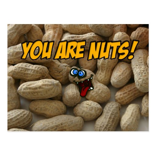 you are nuts! postcard Zazzle