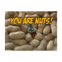 you are nuts! postcards