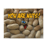 you are nuts! post cards