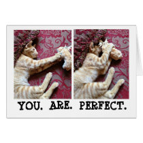 YOU. ARE. PERFECT cards