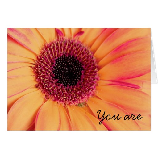 quot you are so kind quot thank you card zazzle custom printed christmas card