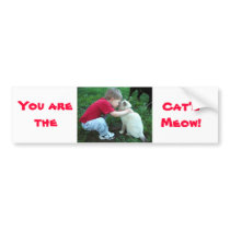 You are the Cat's Meow! bumper stickers