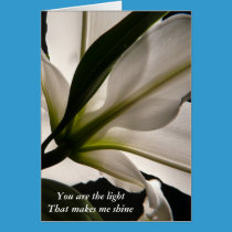 You are the light cards