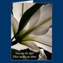 You are the light cards