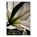 You are the light cards by Davitt You are the light cards
