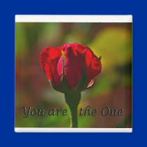 you are the one magnets
