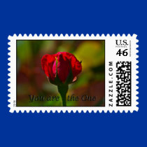 you are the one postage by zack12349 you are the one postage