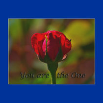 you are the one postcards
