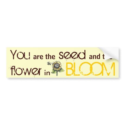 You are the Seed bumpersticker by Quotablegirl