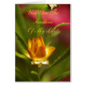 You Are The Sunshine Of My Life! cards