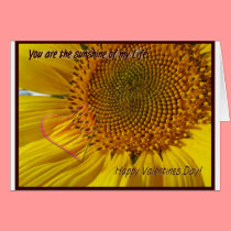 You are the Sunshine of my Life cards