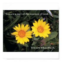 You Are What He Is posters