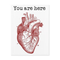You areHere in my Heart Postcards