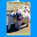You Belong With Me! cards